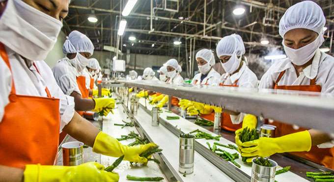 image of Food Processing