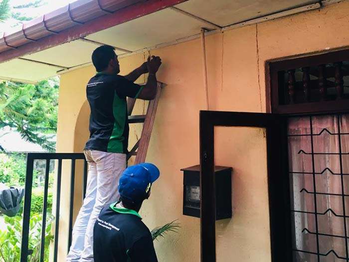 Gallery image for Expert Pest Solution