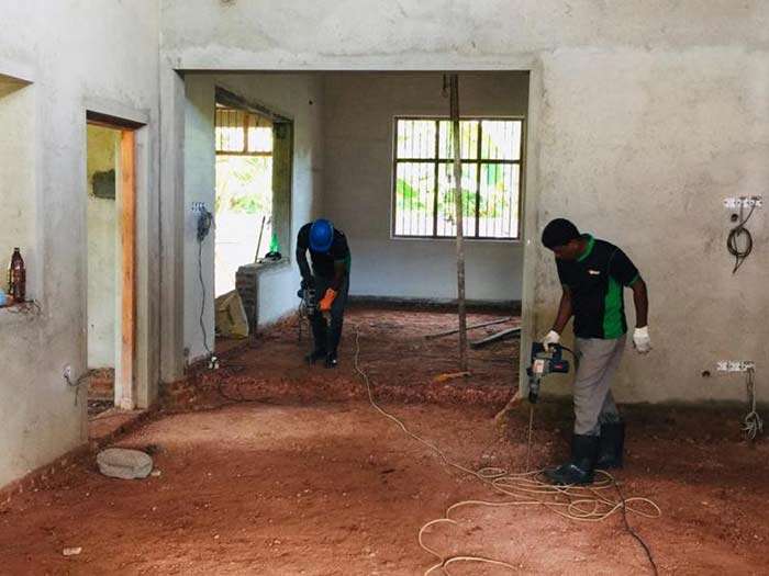 Gallery image for Expert Pest Solution