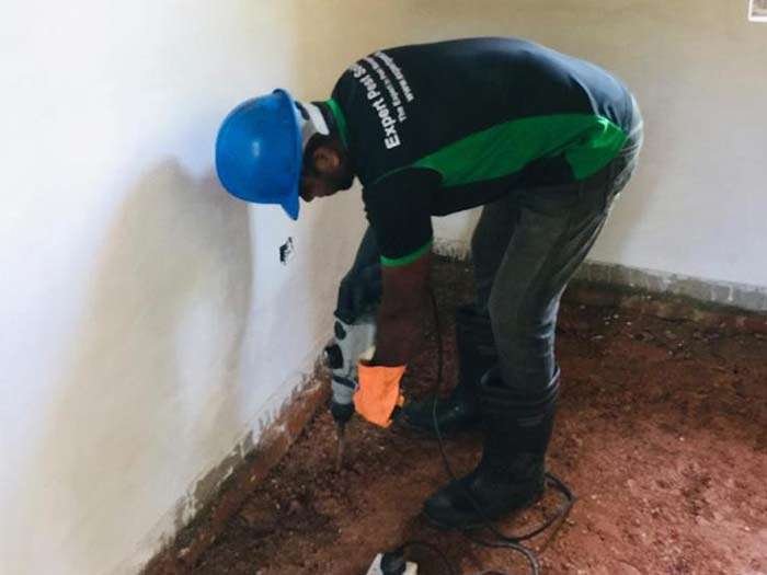 Gallery image for Expert Pest Solution
