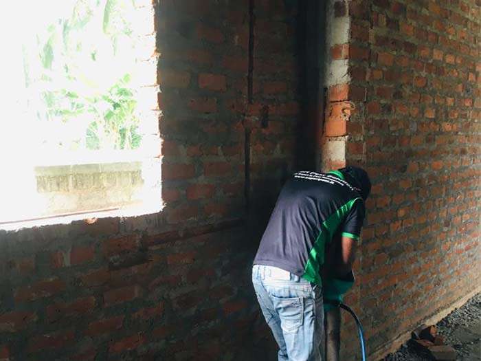 Gallery image for Expert Pest Solution
