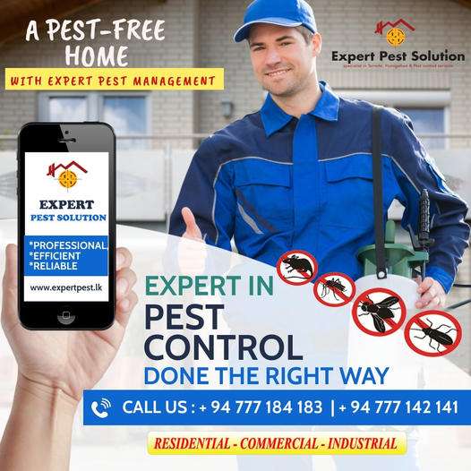 Pest in food processing Expert Pest Solution