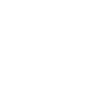 image of Bed Bug Control
