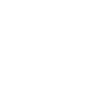 image of Flea Control