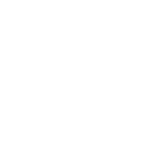 image of Termite Control