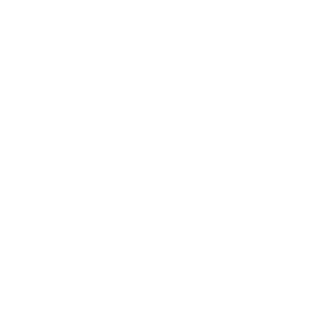 image of Bed Bug Control
