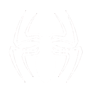 image of Spider Control